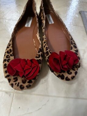 8.5 Steve Madden Leopard-Print Ballet Flats with Red Rosette